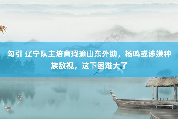 勾引 辽宁队主培育瑕瑜山东外助，杨鸣或涉嫌种族敌视，这下困难大了