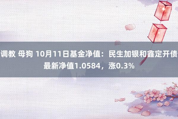 调教 母狗 10月11日基金净值：民生加银和鑫定开债最新净值1.0584，涨0.3%