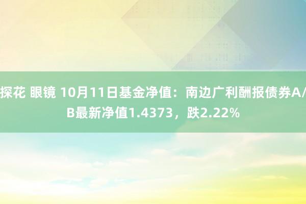 探花 眼镜 10月11日基金净值：南边广利酬报债券A/B最新净值1.4373，跌2.22%
