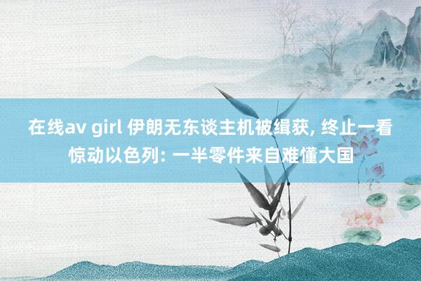 在线av girl 伊朗无东谈主机被缉获， 终止一看惊动以色列: 一半零件来自难懂大国