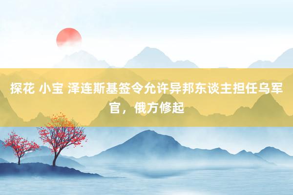 探花 小宝 泽连斯基签令允许异邦东谈主担任乌军官,俄方修起