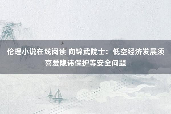 伦理小说在线阅读 向锦武院士：低空经济发展须喜爱隐讳保护等安全问题