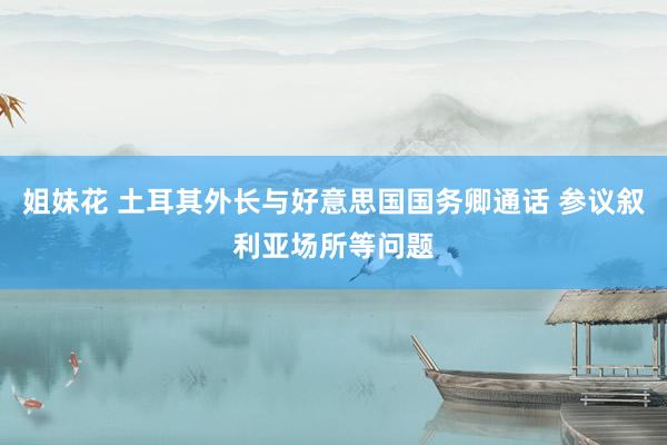姐妹花 土耳其外长与好意思国国务卿通话 参议叙利亚场所等问题