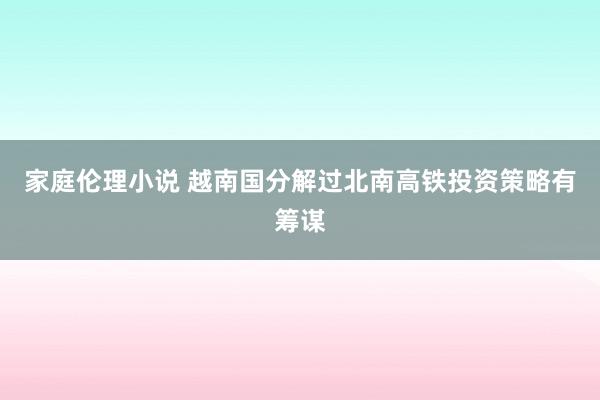 家庭伦理小说 越南国分解过北南高铁投资策略有筹谋