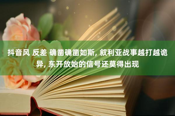 抖音风 反差 确凿确凿如斯， 叙利亚战事越打越诡异， 东开放始的信号还莫得出现