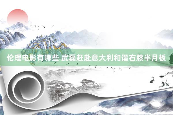 伦理电影有哪些 武磊赶赴意大利和谐右膝半月板