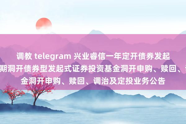 调教 telegram 兴业睿信一年定开债券发起式: 兴业睿信一年如期洞开债券型发起式证券投资基金洞开申购、赎回、调治及定投业务公告