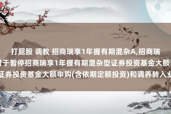 打屁股 调教 招商瑞享1年握有期混杂A,招商瑞享1年握有期混杂C: 对于暂停招商瑞享1年握有期混杂型证券投资基金大额申购(含依期定额投资)和调养转入业务的公告