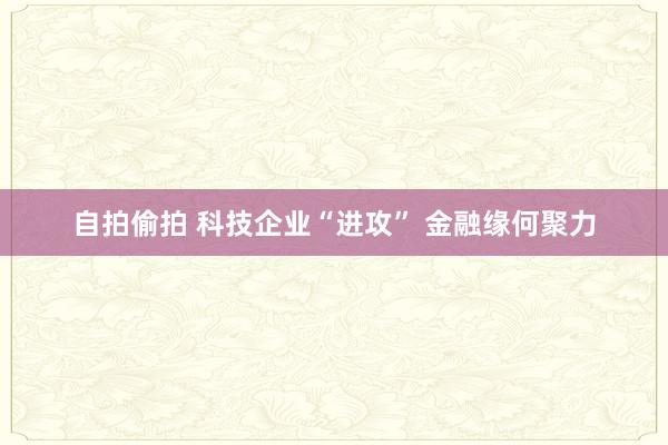 自拍偷拍 科技企业“进攻” 金融缘何聚力