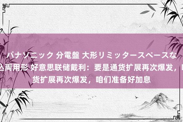 パナソニック 分電盤 大形リミッタースペースなし 露出・半埋込両用形 好意思联储戴利：要是通货扩展再次爆发，咱们准备好加息