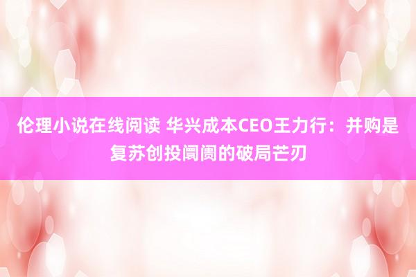 伦理小说在线阅读 华兴成本CEO王力行：并购是复苏创投阛阓的破局芒刃