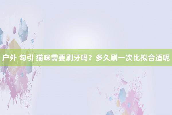 户外 勾引 猫咪需要刷牙吗？多久刷一次比拟合适呢