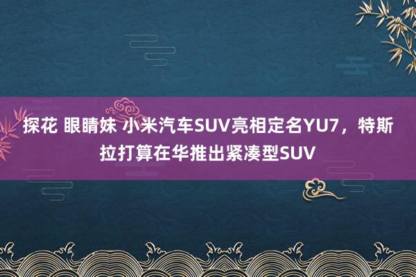 探花 眼睛妹 小米汽车SUV亮相定名YU7，特斯拉打算在华推出紧凑型SUV