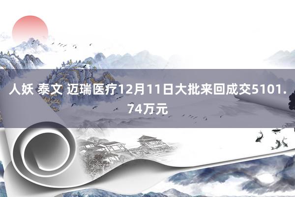 人妖 泰文 迈瑞医疗12月11日大批来回成交5101.74万元