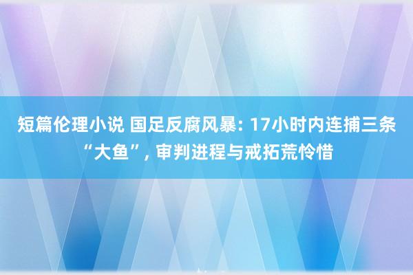 短篇伦理小说 国足反腐风暴: 17小时内连捕三条“大鱼”， 审判进程与戒拓荒怜惜