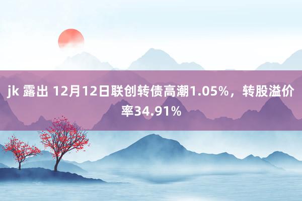 jk 露出 12月12日联创转债高潮1.05%，转股溢价率34.91%