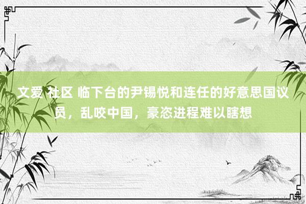 文爱 社区 临下台的尹锡悦和连任的好意思国议员，乱咬中国，豪恣进程难以瞎想