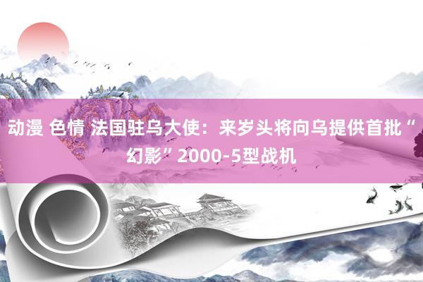 动漫 色情 法国驻乌大使：来岁头将向乌提供首批“幻影”2000-5型战机
