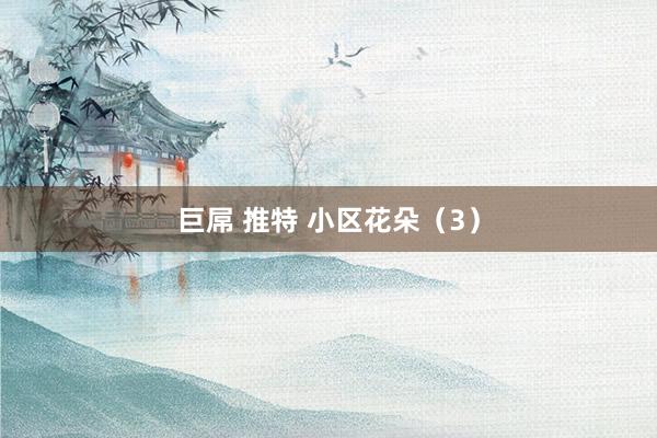 巨屌 推特 小区花朵（3）