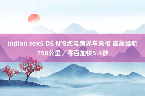 indian sex5 DS N°8纯电跨界车亮相 最高续航750公里／零百加快5.4秒