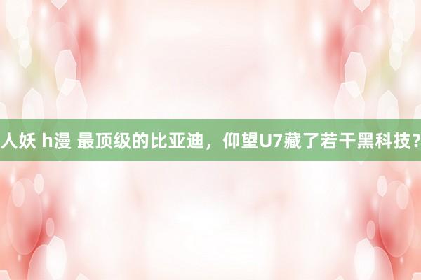 人妖 h漫 最顶级的比亚迪，仰望U7藏了若干黑科技？