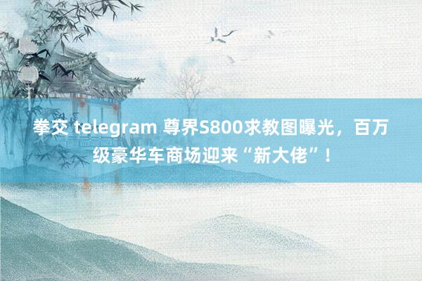 拳交 telegram 尊界S800求教图曝光，百万级豪华车商场迎来“新大佬”！