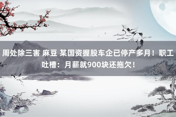 周处除三害 麻豆 某国资握股车企已停产多月！职工吐槽：月薪就900块还拖欠！