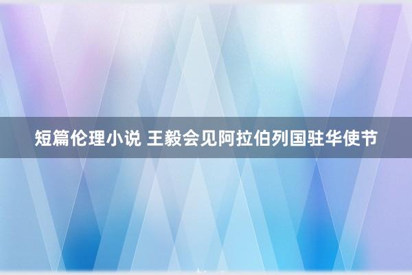 短篇伦理小说 王毅会见阿拉伯列国驻华使节