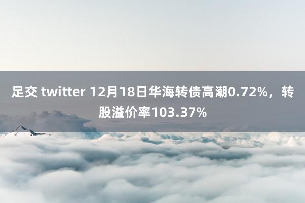 足交 twitter 12月18日华海转债高潮0.72%，转股溢价率103.37%