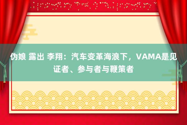 伪娘 露出 李翔：汽车变革海浪下，VAMA是见证者、参与者与鞭策者