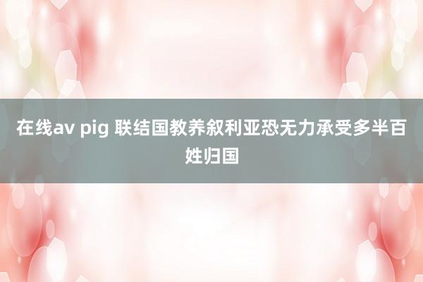 在线av pig 联结国教养叙利亚恐无力承受多半百姓归国