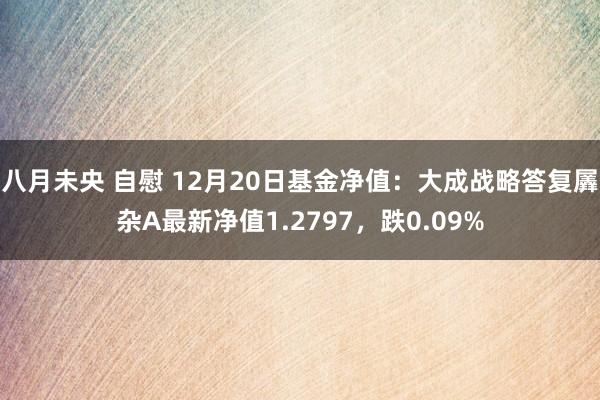 八月未央 自慰 12月20日基金净值：大成战略答复羼杂A最新净值1.2797，跌0.09%