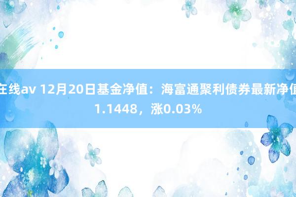 在线av 12月20日基金净值：海富通聚利债券最新净值1.1448，涨0.03%