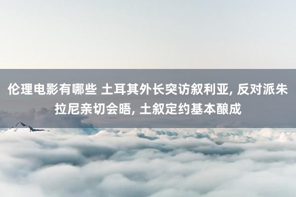 伦理电影有哪些 土耳其外长突访叙利亚， 反对派朱拉尼亲切会晤， 土叙定约基本酿成