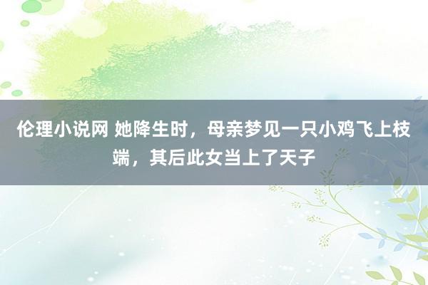 伦理小说网 她降生时，母亲梦见一只小鸡飞上枝端，其后此女当上了天子