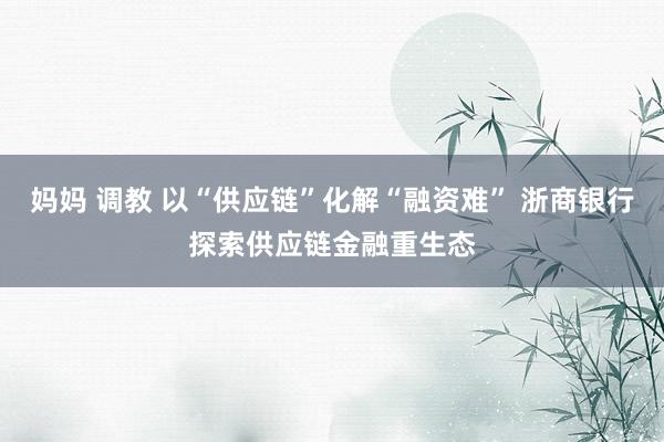 妈妈 调教 以“供应链”化解“融资难” 浙商银行探索供应链金融重生态