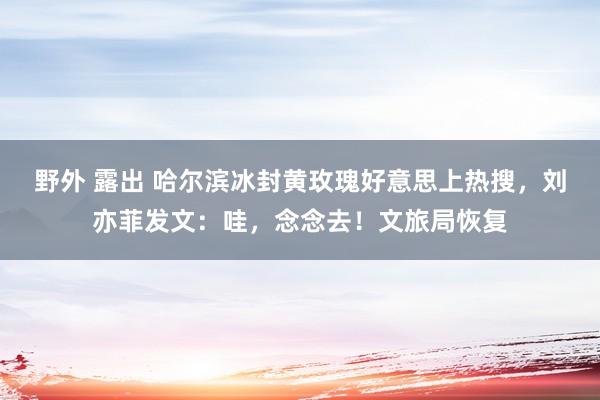 野外 露出 哈尔滨冰封黄玫瑰好意思上热搜，刘亦菲发文：哇，念念去！文旅局恢复