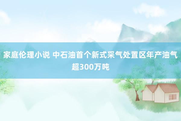 家庭伦理小说 中石油首个新式采气处置区年产油气超300万吨
