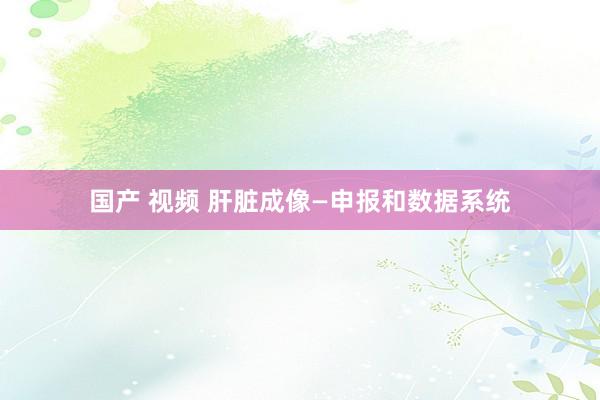 国产 视频 肝脏成像—申报和数据系统