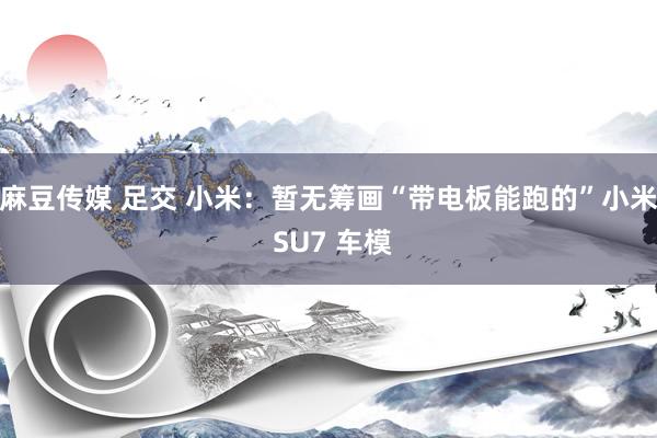 麻豆传媒 足交 小米：暂无筹画“带电板能跑的”小米 SU7 车模