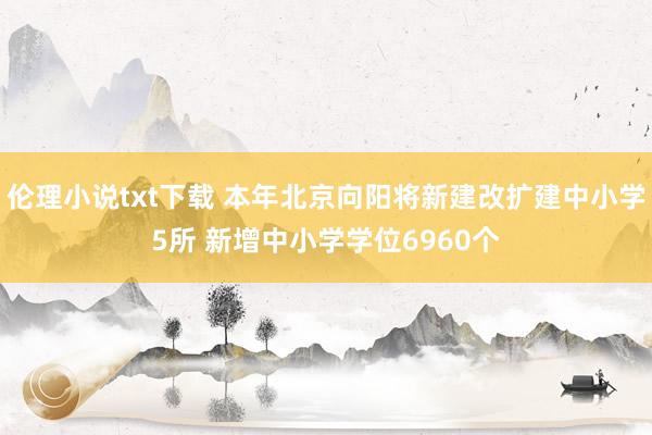 伦理小说txt下载 本年北京向阳将新建改扩建中小学5所 新增中小学学位6960个
