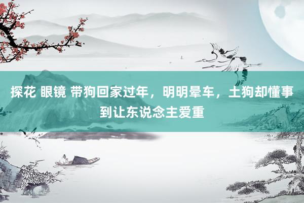 探花 眼镜 带狗回家过年，明明晕车，土狗却懂事到让东说念主爱重