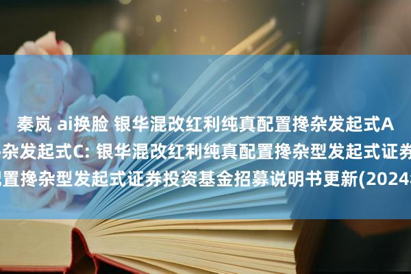 秦岚 ai换脸 银华混改红利纯真配置搀杂发起式A,银华混改红利纯真配置搀杂发起式C: 银华混改红利纯真配置搀杂型发起式证券投资基金招募说明书更新(2024年第2号)