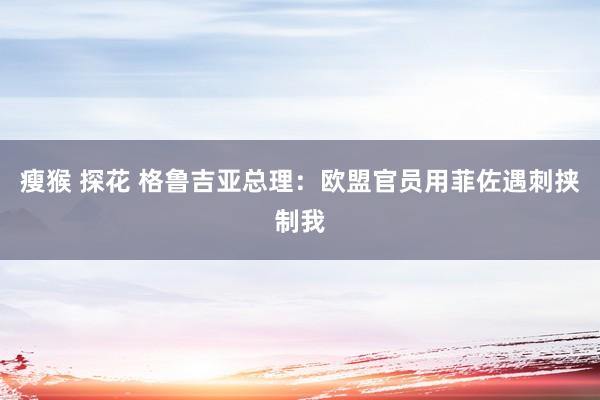 瘦猴 探花 格鲁吉亚总理：欧盟官员用菲佐遇刺挟制我
