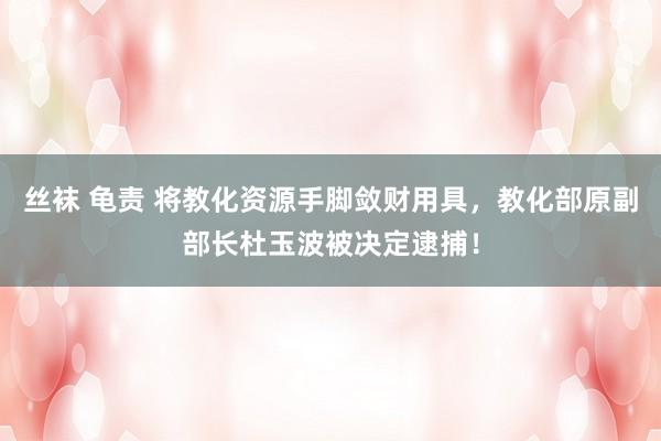 丝袜 龟责 将教化资源手脚敛财用具，教化部原副部长杜玉波被决定逮捕！
