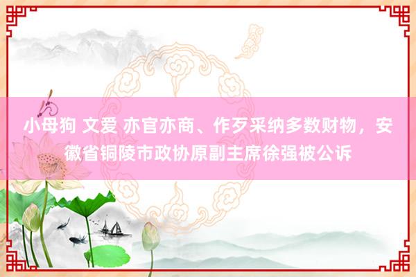 小母狗 文爱 亦官亦商、作歹采纳多数财物，安徽省铜陵市政协原副主席徐强被公诉