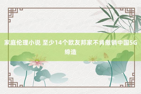 家庭伦理小说 至少14个欧友邦家不肯撤销中国5G缔造