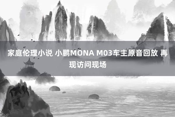 家庭伦理小说 小鹏MONA M03车主原音回放 再现访问现场