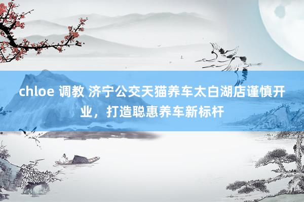 chloe 调教 济宁公交天猫养车太白湖店谨慎开业，打造聪惠养车新标杆