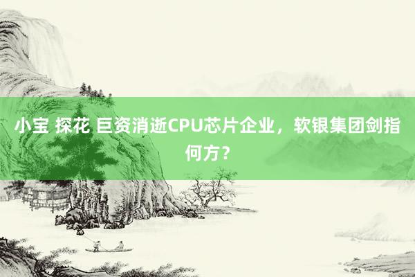 小宝 探花 巨资消逝CPU芯片企业，软银集团剑指何方？